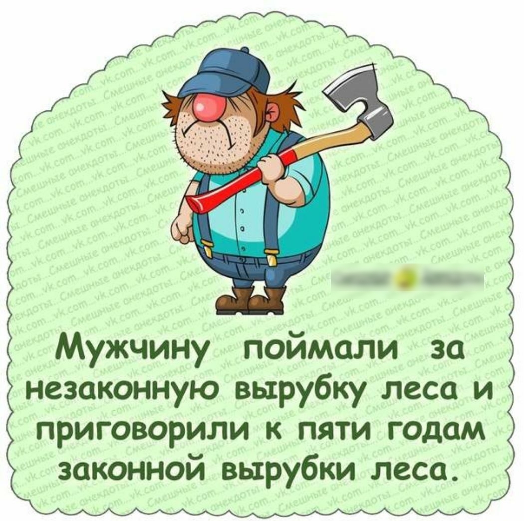 Мужчину поймали за незаконную вырубку леса и приговорили к пяти годам законной вырубки леса