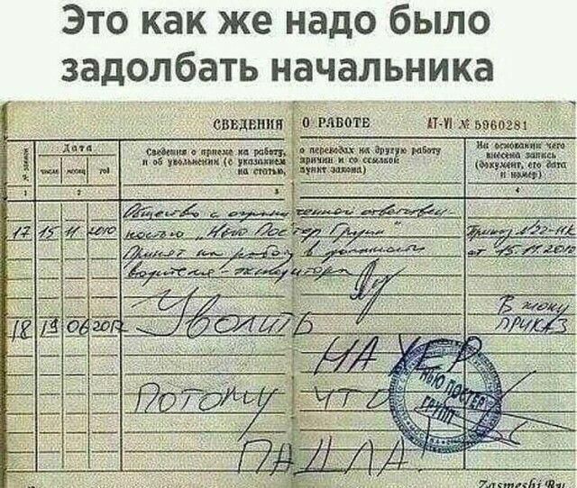 Это как же надо было задолбать начальника им л ся