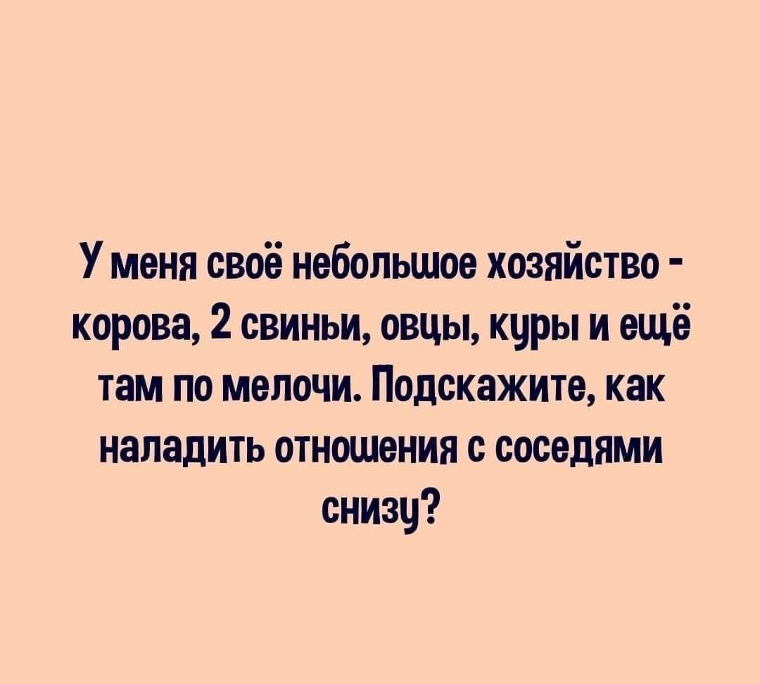 У меня своё небольшое хозяйство корова 2 свиньи овцы коры и ещё там по мелочи Подскажите как наладить отношения с соседями снизу