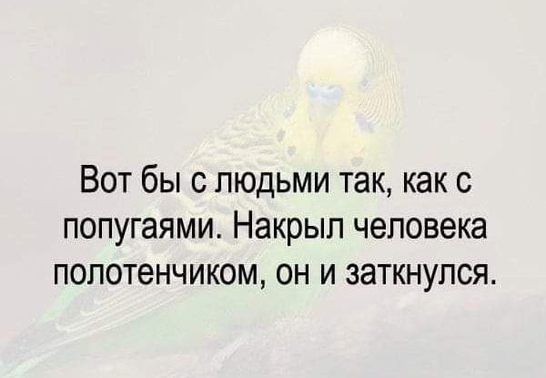 Вот бы с людьми так как с попугаями Накрып человека полотенчиком он и заткнупся
