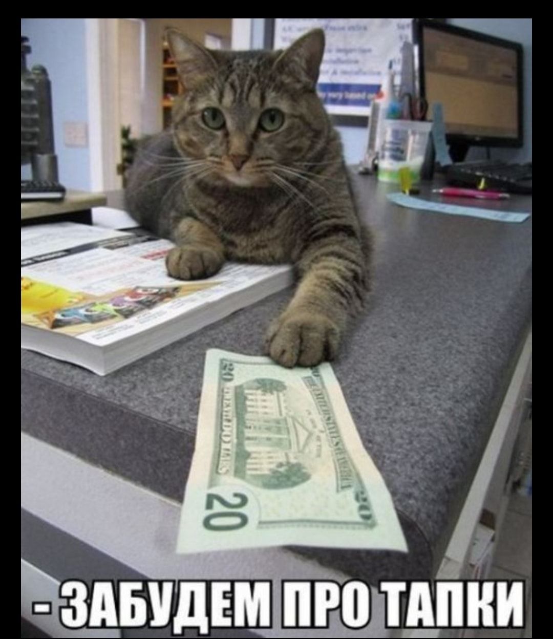 Рзабудем пролтапки