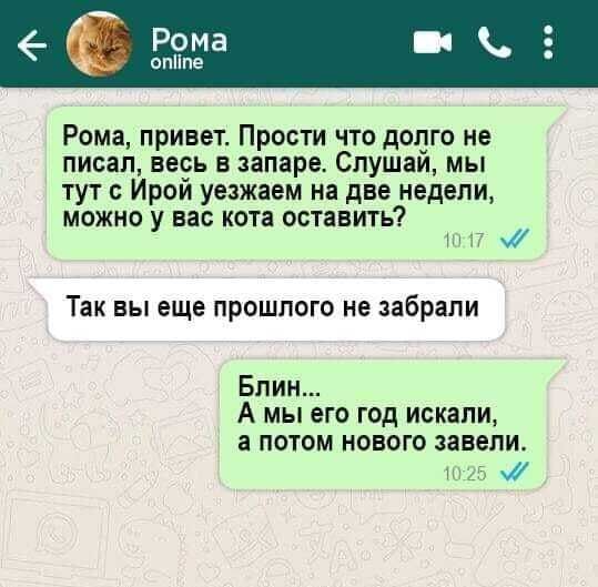 Рома оппе Рома привет Прости что долго не писал весь в запаре Слушай мы тут Ирой уезжаем на две недели можно у вас кота оставить 1 Н 17 Так вы еще прошлого не забрали Бпин А мы его год искали а потом нового завели 25 ж