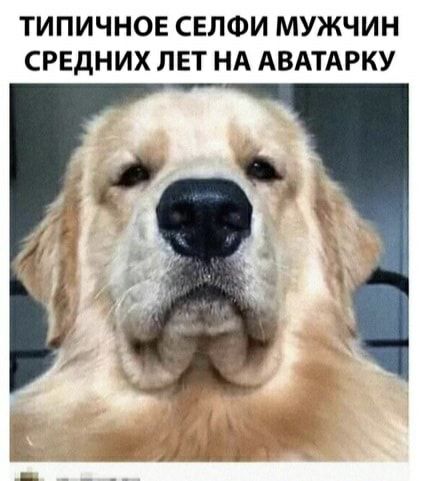 ТИПИЧНОЕ СЕЛФИ МУЖЧИН СРЕДНИХ ЛЕТ НА АВАТАРКУ