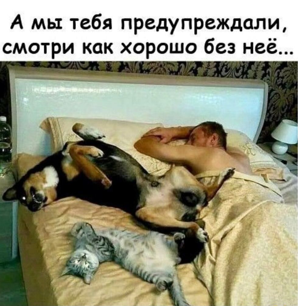 А мы тебя предупреждали смотри как хорошо без неё