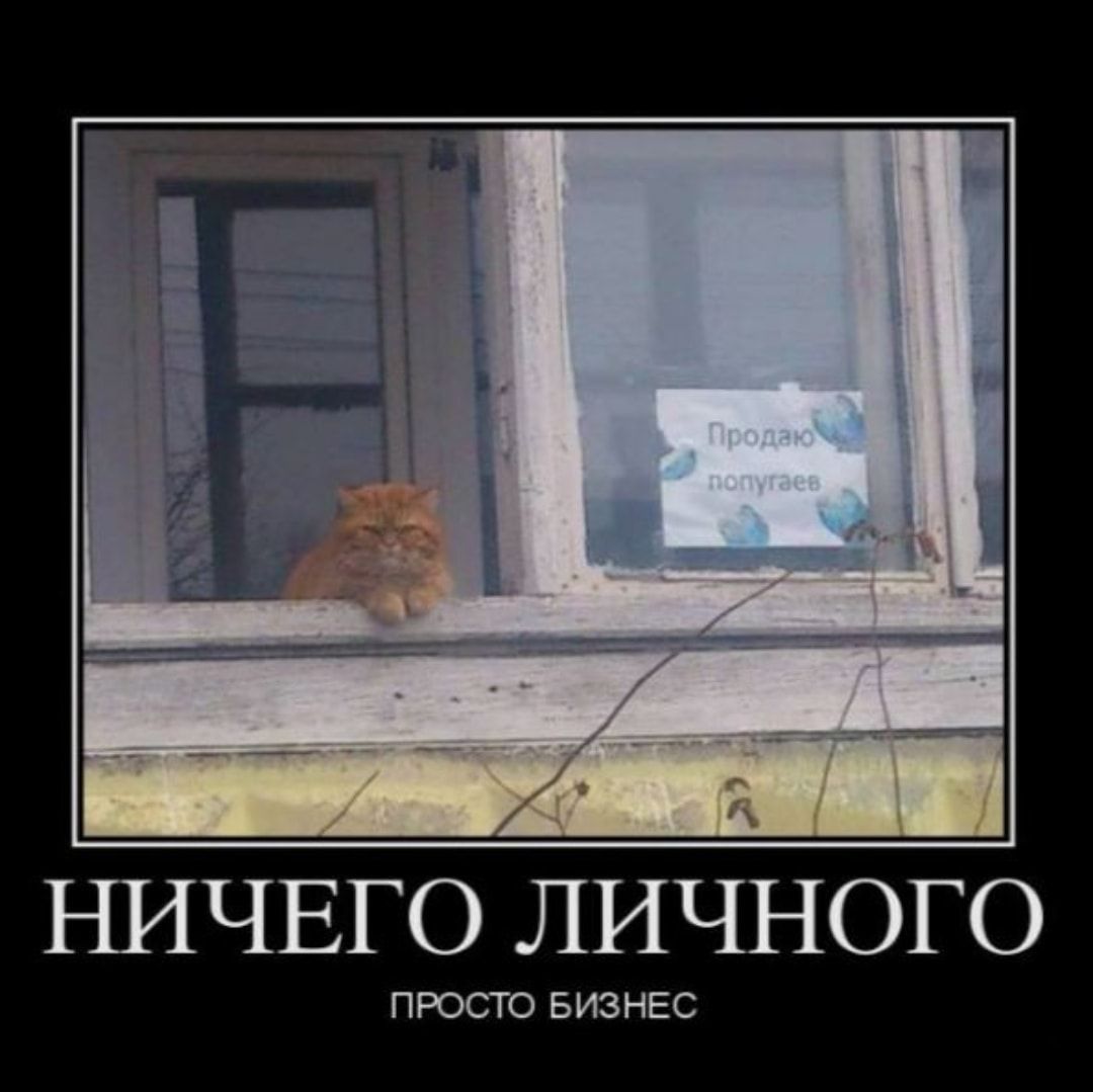 НИЧЕГО личноог ПРОСТО БИЗНЕС