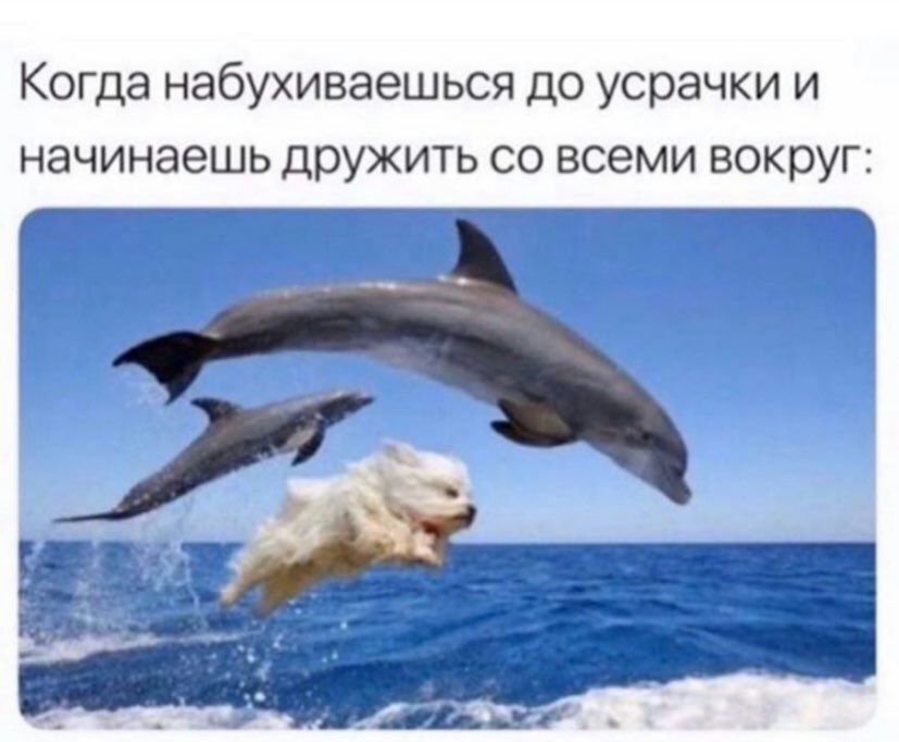 Когда набухиваешься до усрачки и начинаешь дружить со всеми вокруг