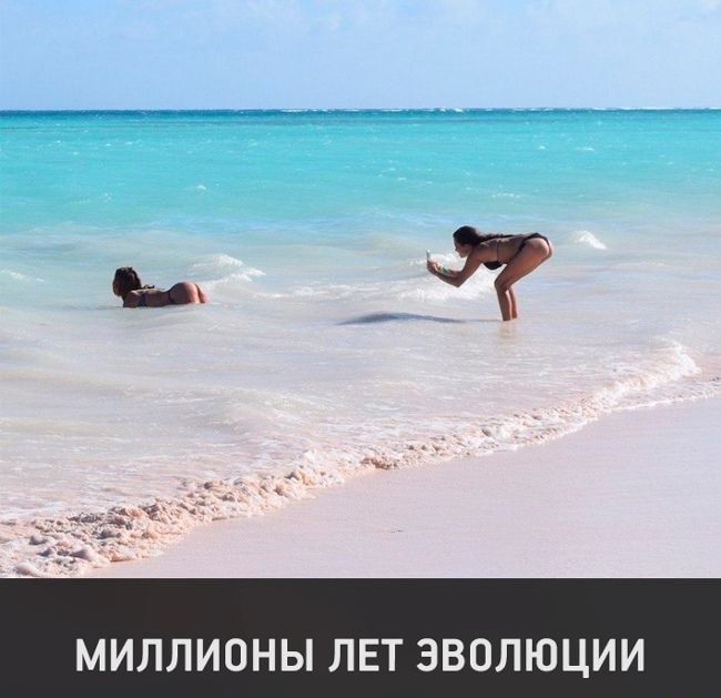 МИЛЛИОНЫ ЛЕТ ЭВОЛЮЦИИ