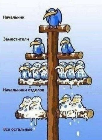 ниши Здиесткели ними идиш