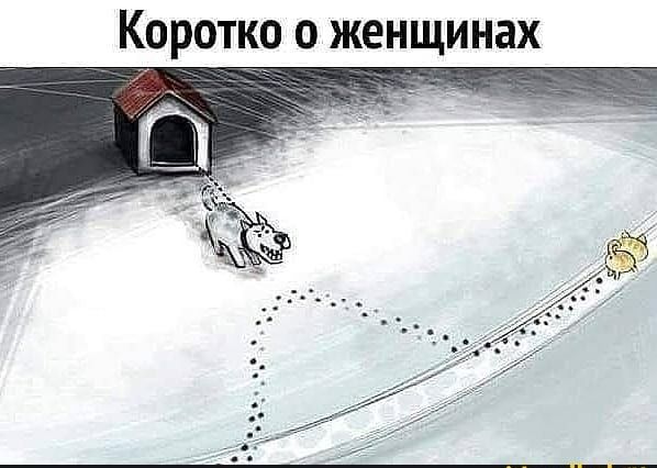 Коротко о женщинах