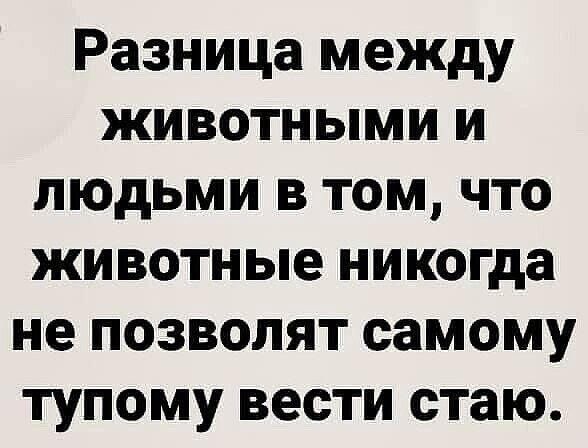 Разница между животными и людьми в том что животные никогда не позволят самому тупому вести стаю