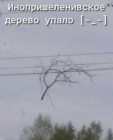 Щыэиришышнизззюз дерзну упало __