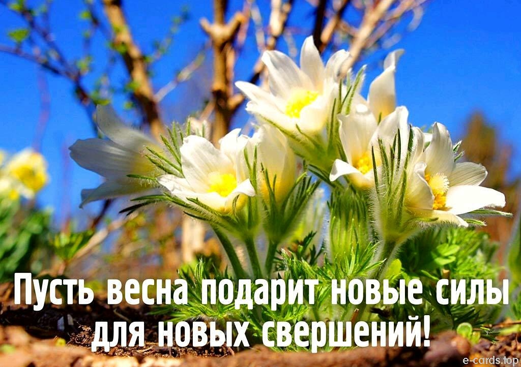 _ __ м 1 4 5 __ А у ПУСТЬ ВЕСНЗ НДИ для новыхііз ений