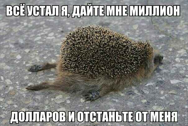 ШШШБПДЕЬПЕЩШШШ