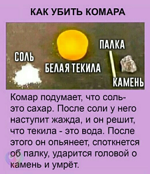 КАК УБИТЬ КОМАРА ПААКА БЕААЯ ТЕКИАА КАМЕНЬ Комар подумает что соль это сахар После соли у него наступит жажда и он решит что текила это водат После этого он опьянеет споткнется об палку ударится головой о камень и умрёт
