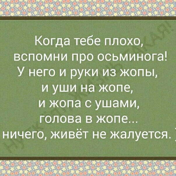 Когда тебе плохо вспомни про осьминога У него и руки из жопы и уши на жопе и жопа с ушами голова в жопе ничего живёт не жалуется