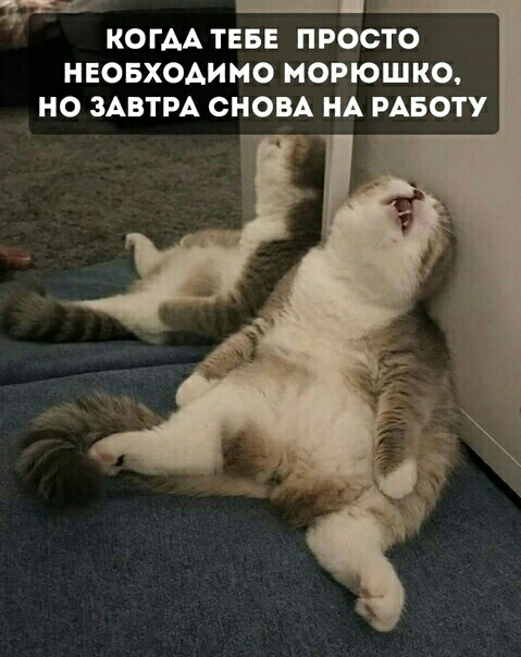 25 _ КОГАА ТЕБЕ ПРОСТО НЕОБХОАИМО МОРЮШКО НО ЗАВТРА СНОВА НА РАБОТУ