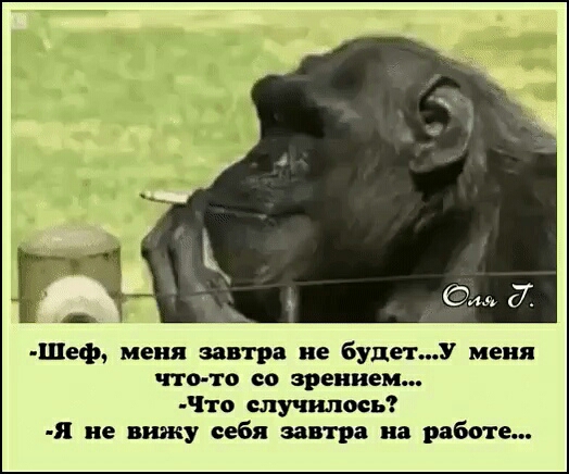 Шеф меия завтра не будетУ меня что то со зрением дтп случилось Я не вижу себя завтра на работе