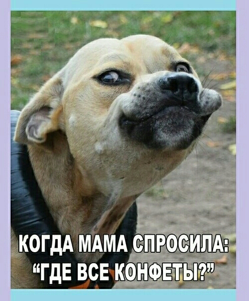 5_КОГдА МАМА _ _ ГдЕ все канфвтыа