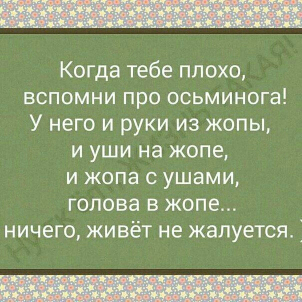 Когда тебе плохо вспомни про осьминога У него и руки из жопы и уши на жопе и жопа с ушами голова в жопе ничего живёт не жалуется