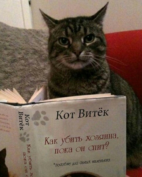 Кпк убшъ хщършна пока он спит ИСФМЫХ