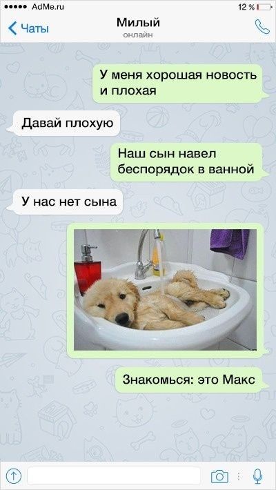 Ча Милыи У меня хорошая новость и плохая давай плохую Наш сын навел беспорядок в ванной У нас нет сына Знакомься это Макс