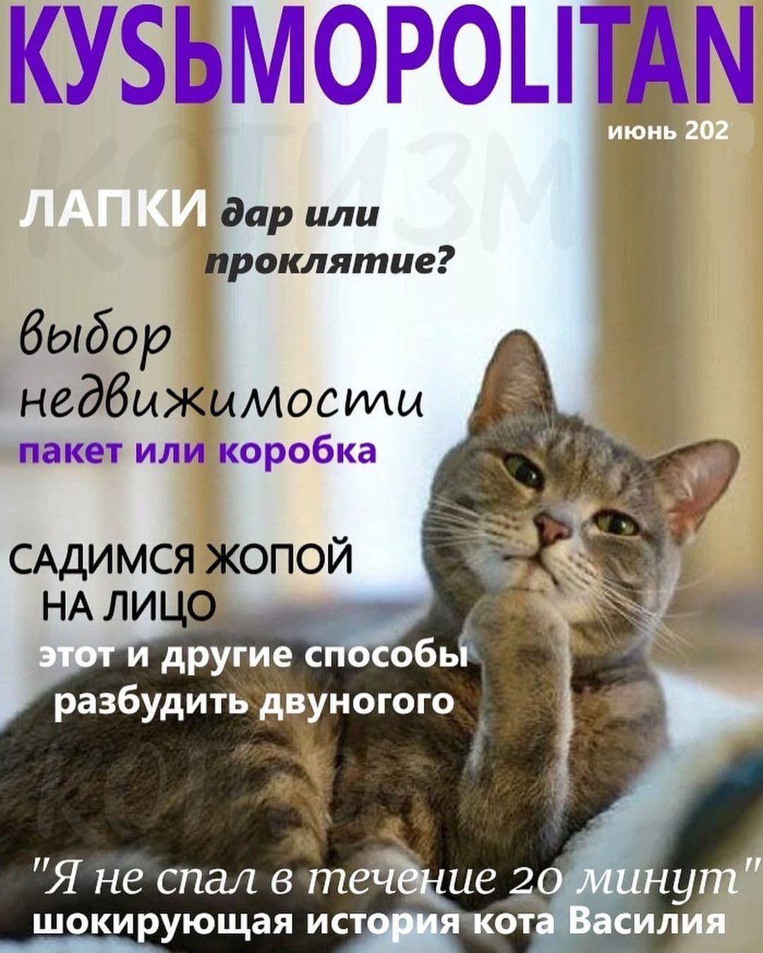 м и 1 дар или проклятие быбор недбыжимосты пакет или коробка