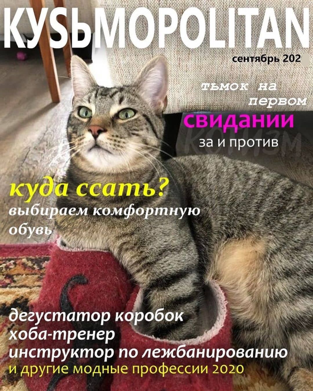 СВидаНИи за и против дегустатор коЪобоК ххоба тренер инструктор по леж анированию у г и де 11С__3ЫЕ прощю СЕИ 2323 из