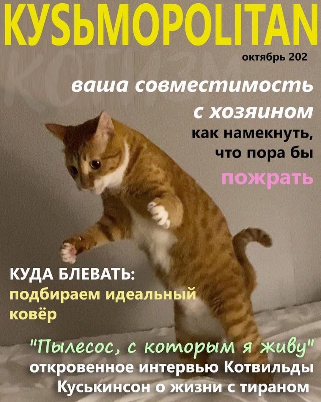 кузьмороцтдм ваша совместимость с хозяином КУДА БЬЕВАТЬ подбираем идеальный ковёр Э _Ыі Пылесос с которым я Живу откровенное интервью КОТВИЛЬДЬ КусьКинсонбЗкйЁйи с тираном А к на