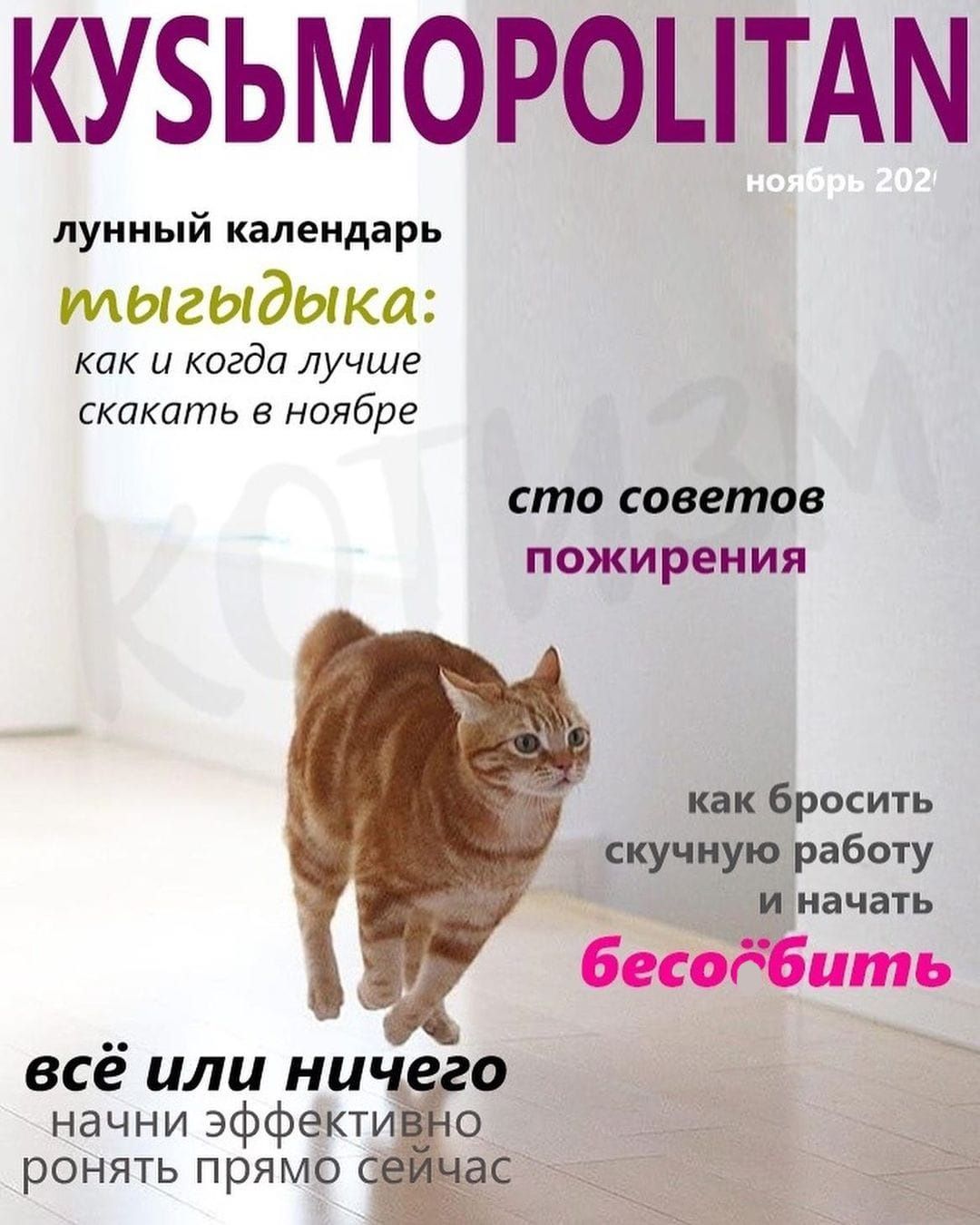 КУБЬМОРОЦТАМ лунный календарь тыгыдыка как и когда лучше скакать в ноябре сто советов пожирения как бросить скучную работу Ипначать бесодбить всё или ни _ начни эффекти о ронять прямо а_С 17