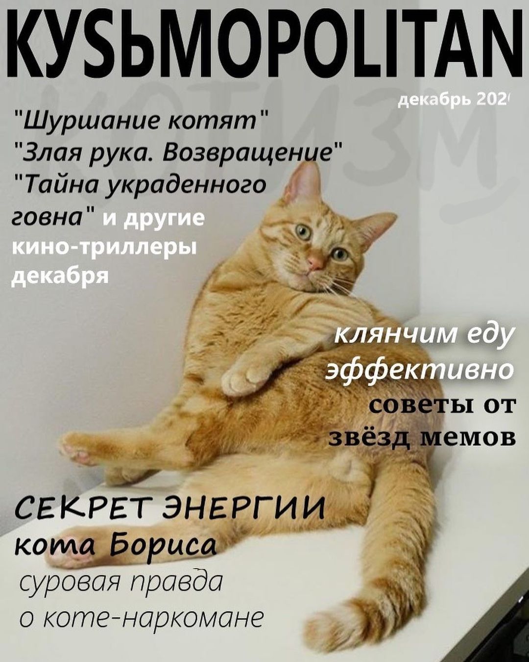 КУБЬМОРОЦТАМ Шуршание котят Злая рука Возвращение Тайна украденного говна секрет энвргиъи кота Ёорцд суровая правда коте наркомане