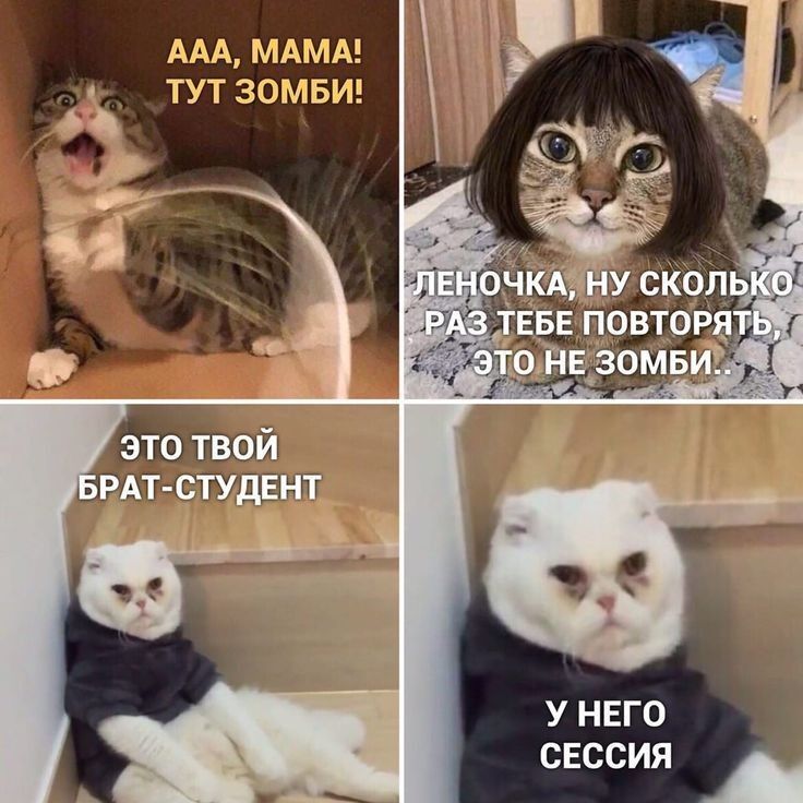 ААА тут замыи И Ч