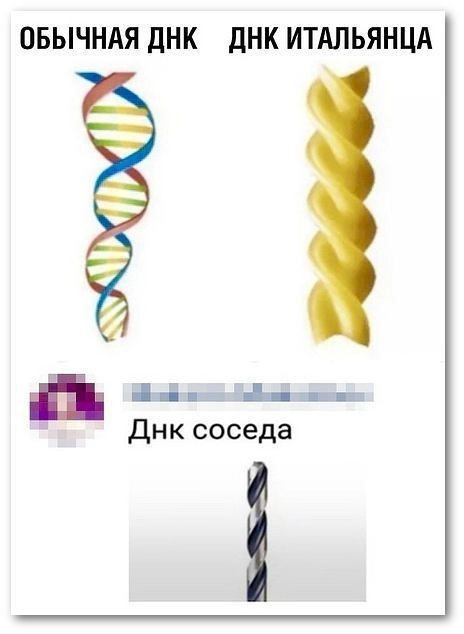 ОБЫЧНАЯ ДНК дНК ИТАЛЬЯНЦА Ы 141 Днк соседа