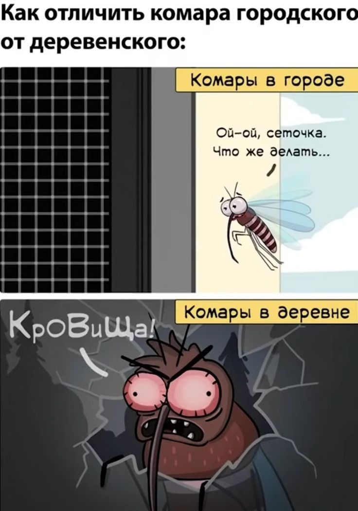 Как отличить комара городског от деревенского Ой оп сеточка Что же аеАать