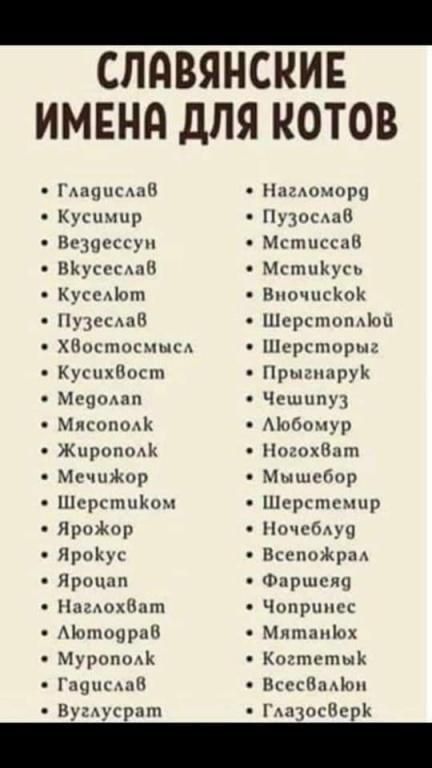_ СПДВЯНСКИЕ ИМЕНА дЛЯ КОТОВ г или к си Пидпсъ Мусс и ь с1пт ищи и Нпстнсцысд Куспхііщт Мечашп МИСШЮАК жцшшцк МсчпЯщр місрспшвшч Яром прпкус Ирин п ПпдохПпт Машкин Муром Гиш и Нупцтрпт Нлгпппцщ пыщ и Мстпссди мщп Нпочпгітй Шсрспюпмйш цргшорпц Прыпыруік Чсшппу Мпбочур пгпхПпп Мыгшр Шпргпшхшр Ничем ПгапцЖрпд Фнршскц Чипрппсс 1ипып1х Кисть тык теснили плз верх