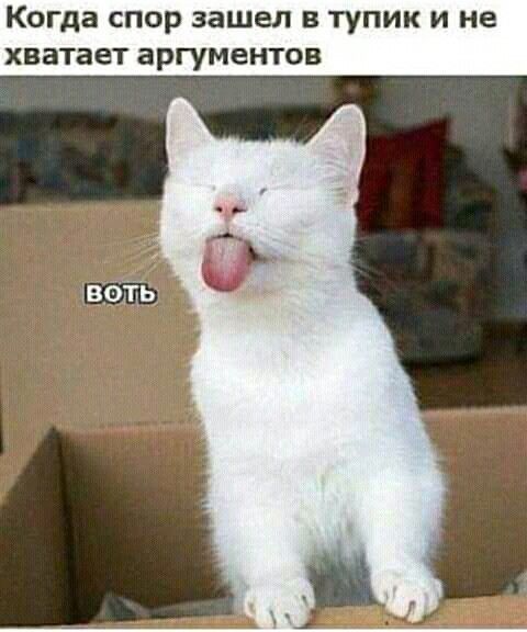 Когда спор зашел в тупик и не хватает аргументов