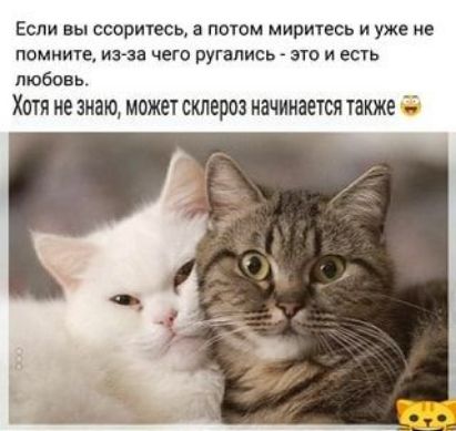 Если вы ссоритесь а поюм миритесь и уже не помните ина чего ругались это и всгь любовь ХОТЯ НЕ знаю МОЖЕТ склероз НЗЧИНЗЕТСЯ ТЕКЖЕ