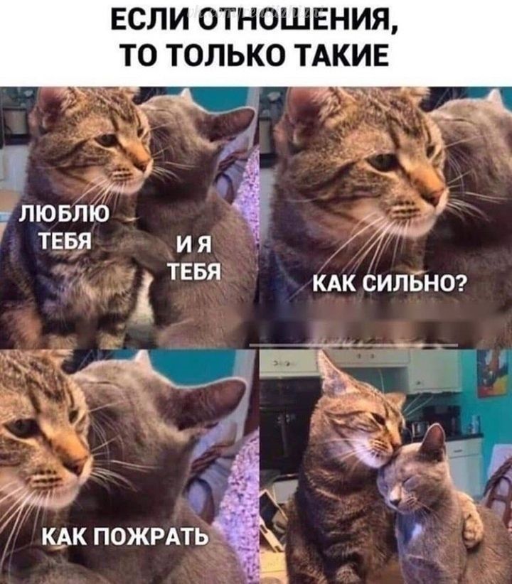 ЕСЛИ ОТНОШЕНИЯ ТО ТОЛЬКО ТАКИЕ