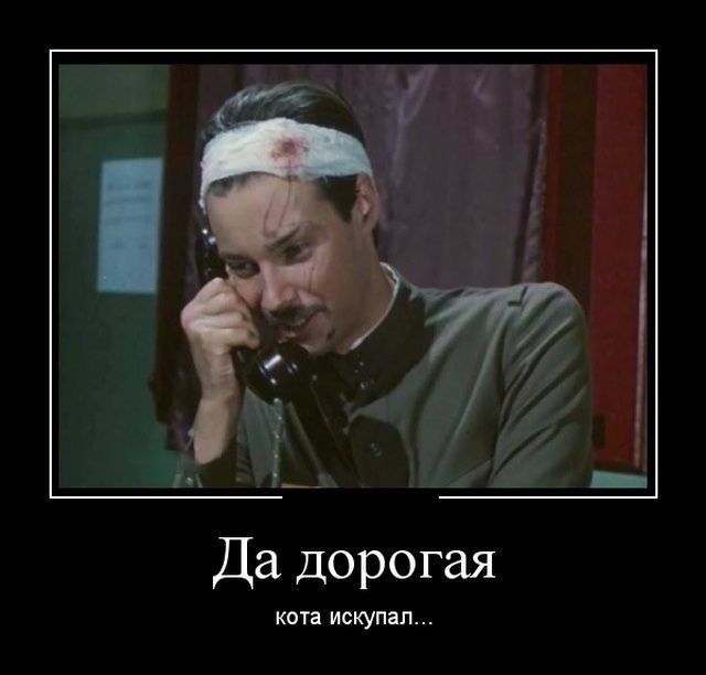 Да дорогая кота искупал..