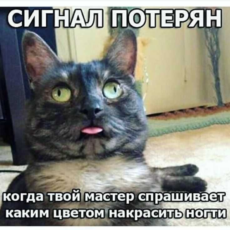 когда ТВОЙ мастер спрашивает КЗКИМ цветомнакрасить НОГТИ