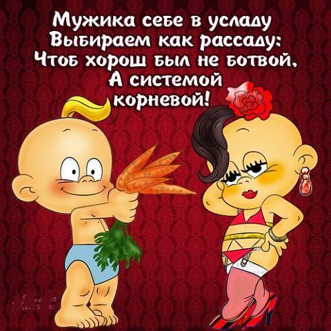Мужика себе в усладу Вывираем как рассаду Чтов хорош вьи не вотвой А системой жд корневой
