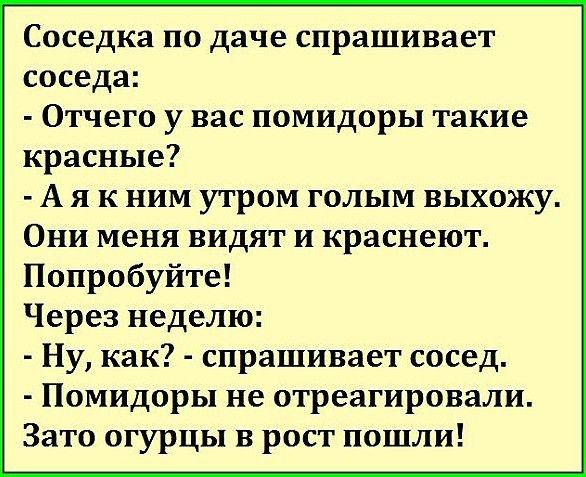 Соседка по даче спрашивает соседа Отчего у вас помидоры такие красные А я к ним утром голым выхожу Они меня видят и краснеют Попробуйте Через неделю Ну как спрашивает сосед Помидоры не отреагировали Зато огурцы в рост пошли