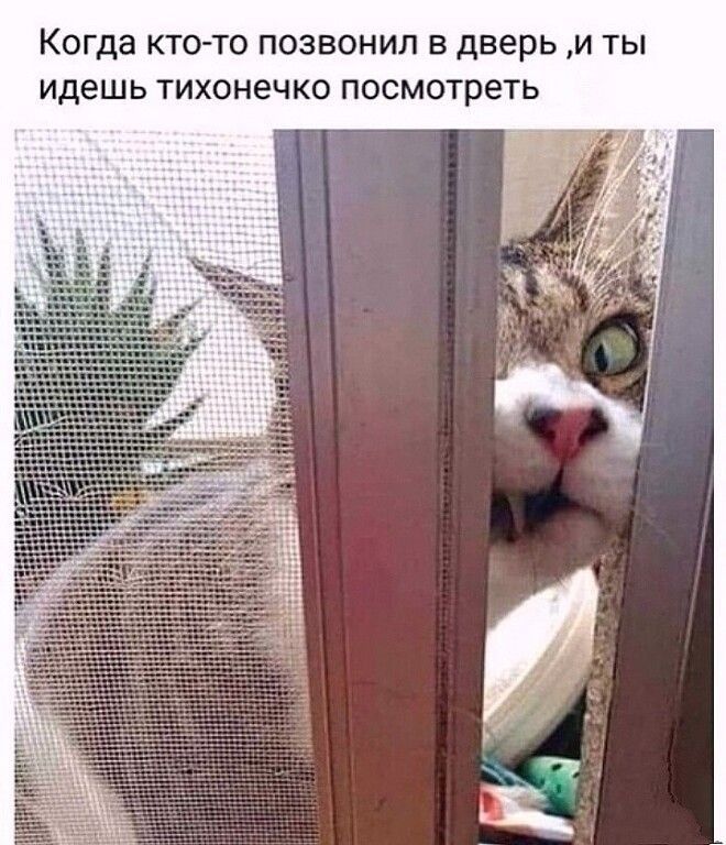 Когда кто то позвонил в дверь и ты идешь тихонечко посмотреть