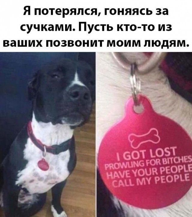 Я потерялся гоняясь за сучками Пусть кто то из ваших позвонит моим людям