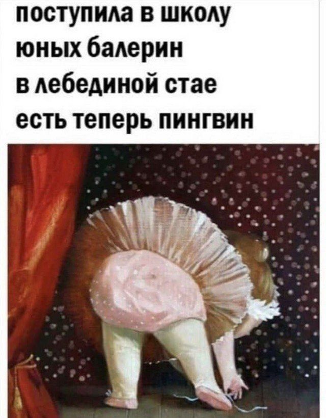 поступма в шиеу юных баАерин в Аебединой стае есть теперь пингвин