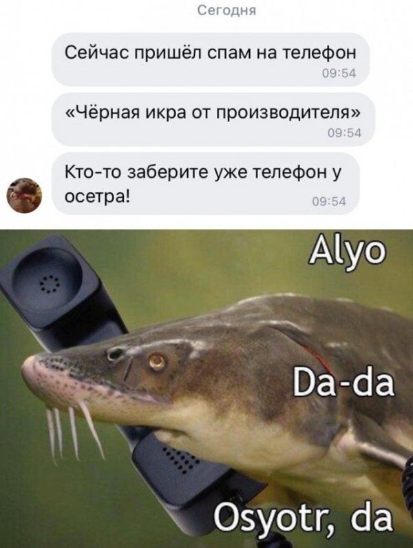 Сегодня Сейчас пришёл спам на телефон и и Чёрная икра от производителя мы Ктото заберите уже телефон у осетра Аіуо _ За ба 45 __ Оуогг сіа