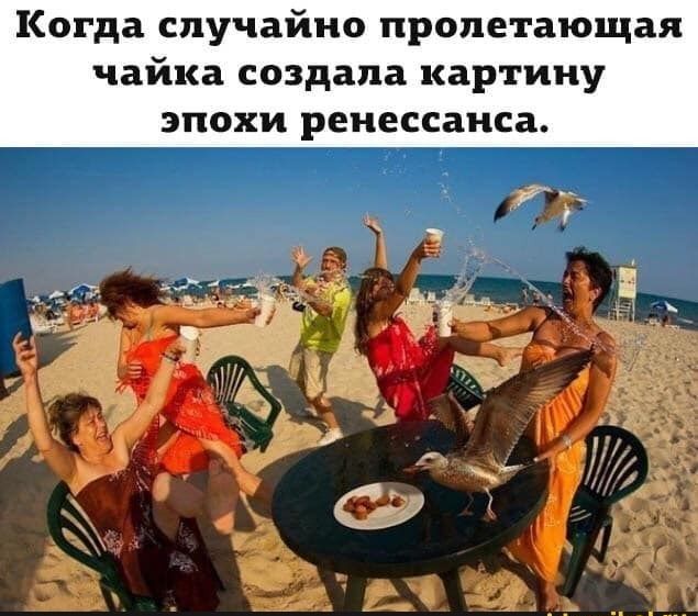 Когда случайно пропетающая чайка создала картину ЭПОХИ ренессанса
