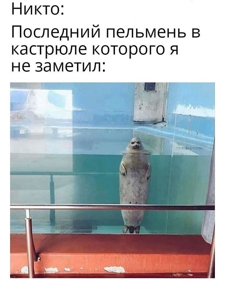 Никто Последний пельмень в кастрюле которого я не заметил
