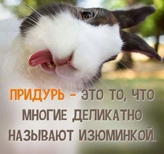 МНОГИЕ ДЕПИКАТН _ НАЗЫВАЮТ ИЗЮМИНКО