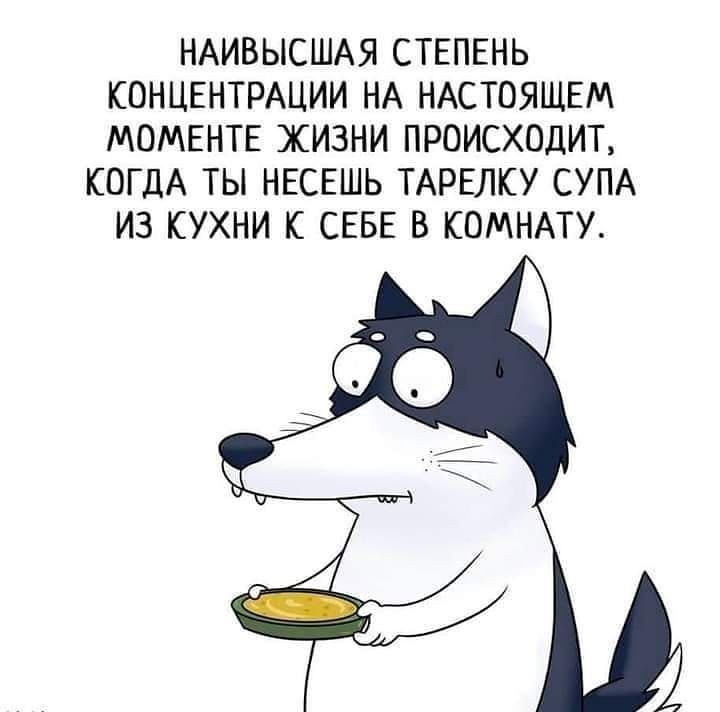 НАИВЫСШАЯ СТЕПЕНЬ КОНЦЕНТРАЦИИ НА НАСТОЯЩЕМ МОМЕНТЕ ЖИЗНИ ПРОИСХОДИТ КОГДА ТЫ НЕСЕШЬ ТАРЕЛКУ СУПА ИЗ КУХНИ К СЕБЕ В КОМНАТУ