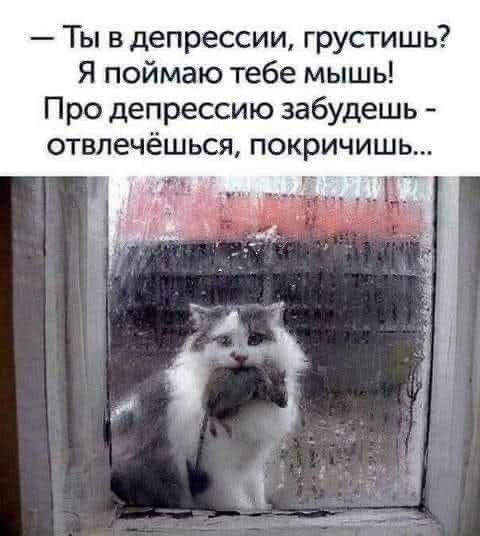 Ты в депрессии грустишь Я поймаю тебе мышь Про депрессию забудешь отвлечёшься покричишь г